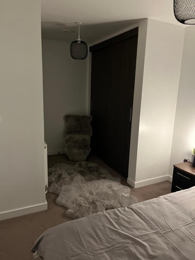 Luxurious Dlr Apartment London Exteriör bild